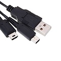 Chargeur USB 2 en 1 pour DSi / 3DS / DSi XL / 3DS XL / 2DS