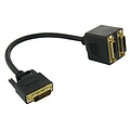 DVI-D Dual Link 24+1 Splitter Adapter