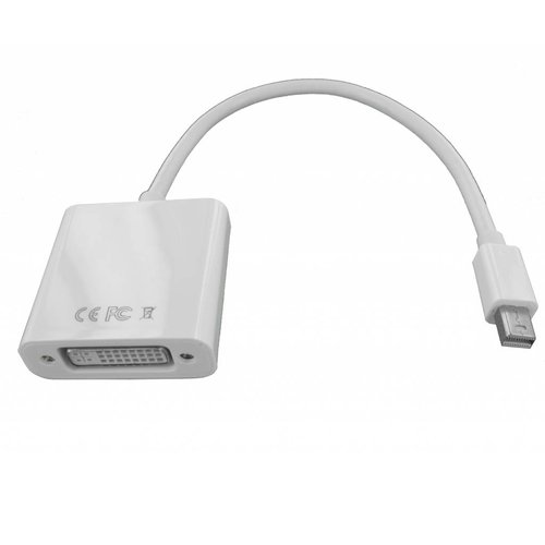 Mini DisplayPort male to DVI female Adapter