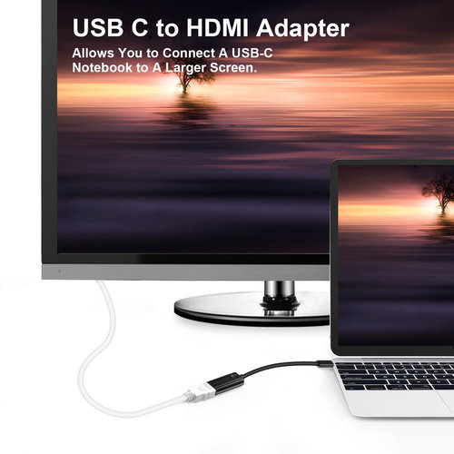 Choetech Adaptateur USB-C vers HDMI - 4K à 60 Hz - Mode DP Alt