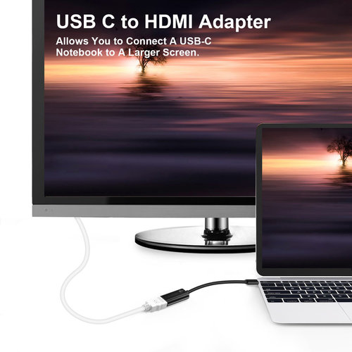 Choetech USB-C to HDMI adapter - 4K @ 60Hz - DP Alt Mode