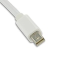 3in1 Mini DisplayPort to DVI, HDMI and DisplayPort