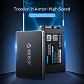 Orico 256 GB interne SSD - Troodon-Serie