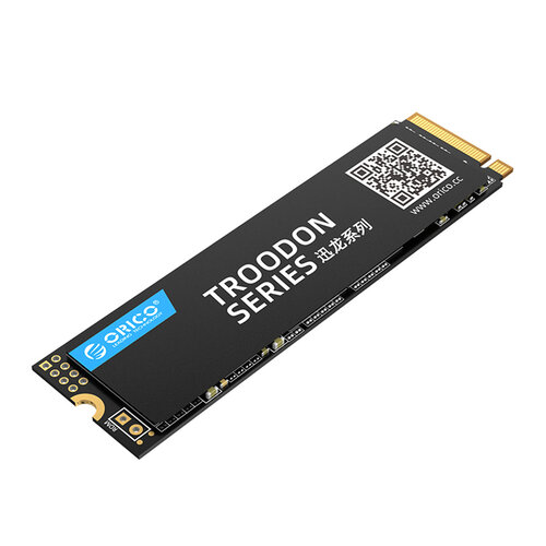 Orico M.2 NVMe interne SSD 2280 - 128 GB - Troodon-Serie - 3D-NAND-Blitz - Schwarz