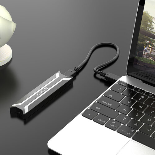 Orico NVMe M.2 SSD behuizing - zwart/zilver- aluminium