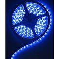 Blue 5 Meter 60 LED 12 Volt Orange PCB