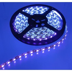 Paars/Blacklight 60led Oranje pcb 5 meter IP65