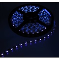 Purple / Orange PCB Blacklight 60led 5m IP65