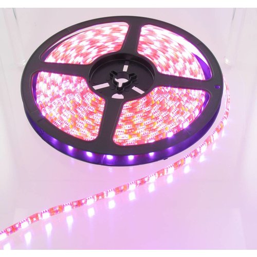 Pink Orange PCB 60led 5m IP65