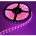 Pink Orange PCB 60led 5m IP65