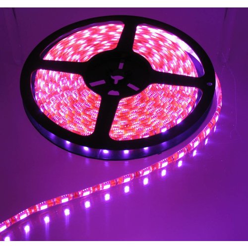 Pink Orange PCB 60led 5m IP65