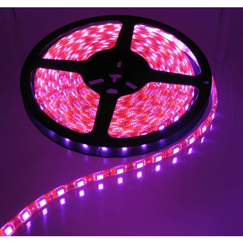 Pink Orange PCB 60led 5m IP65