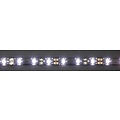 Blanc brillant Noir PCB 60led 5m IP65