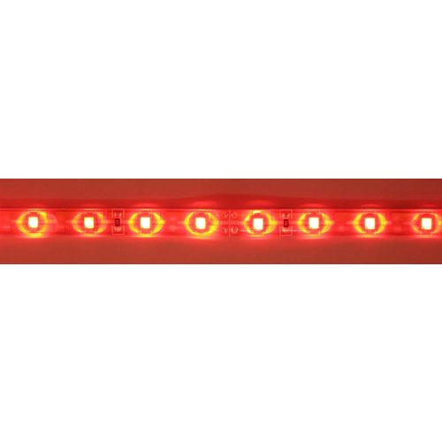 24V Rot Orange PCB IP65 60led