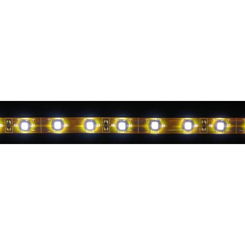 Blanc froid 60led orange PCB 5m IP65 complète