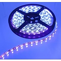 Purple / Orange PCB Blacklight 60led 5m IP65 - Copy