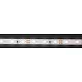 IP20 Helder Wit 60led Wit pcb 5 meter