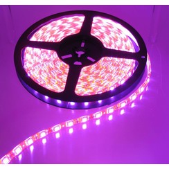 Roze 60led Oranje pcb 5 meter IP65 Compleet