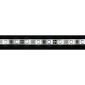 Bright White 60led white pcb 5m IP65 Complete