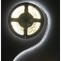 IP20 Cool White Weiß pcb 120led 5m