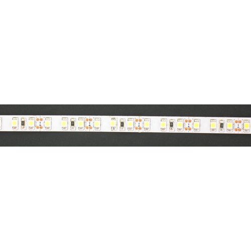 Bright White White PCB IP20 120led 5m