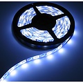 RGB + W LED Strip 60led p / m 5m IP65