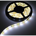 RGB + W LED Strip 60led p / m 5m IP65