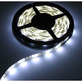 RGB+W LED Strip 60led p/m 5 meter IP65