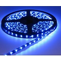 Bleu Noir PCB 60led 5m IP65 complète