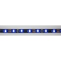 Blue 60led Black PCB 5m IP65 Complete