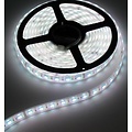 24V RGB LED Strip 60led p / m 5m IP68