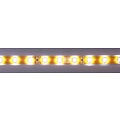 24V Cold White 60led Orange PCB IP65 Complete