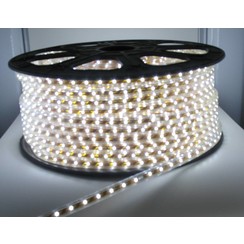 100 Meter High Voltage LED strip Helder Wit