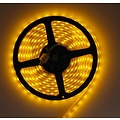 Yellow Orange PCB IP68 60led 5m 24V Complete