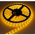 Yellow Orange PCB IP68 60led 5m 24V Complete