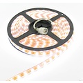 IP68 Cool White 24V 5m 60led Orange PCB Complete