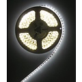 5m Blanc brillant PCB IP20 120led complet