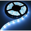 RGB+W LED Strip 60led p/m 5 meter IP65 Compleet