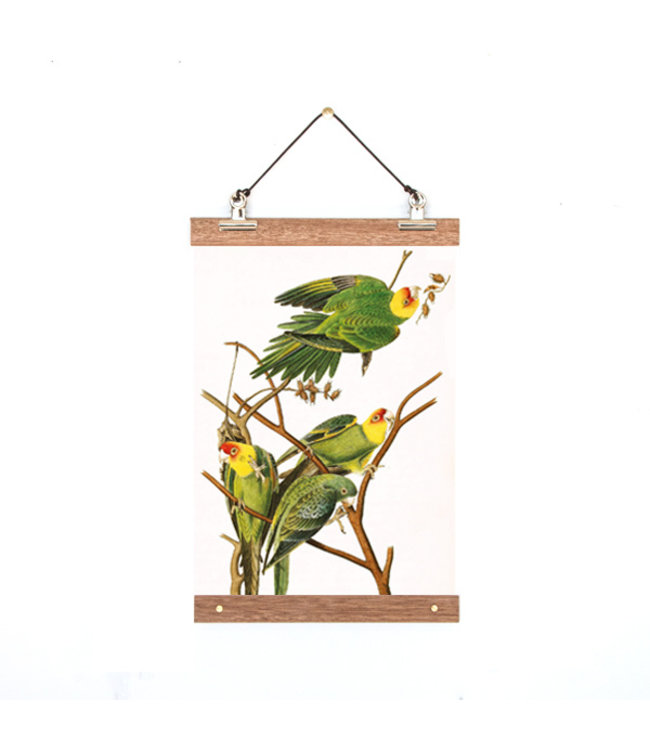 Botanical Poster Birdies