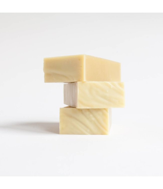 WERFZEEP Kruidenshampoo | vegan