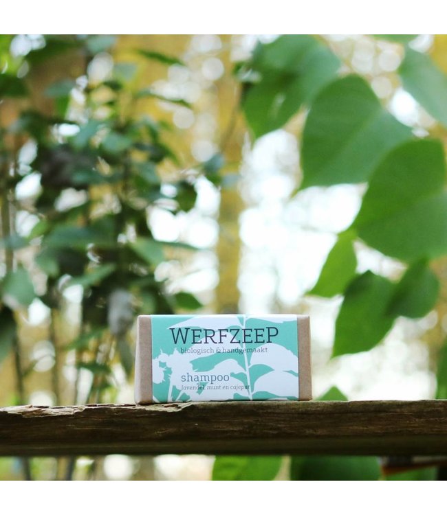 WERFZEEP Honingshampoo