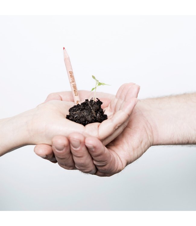 Bloom •• Bloeipotlood