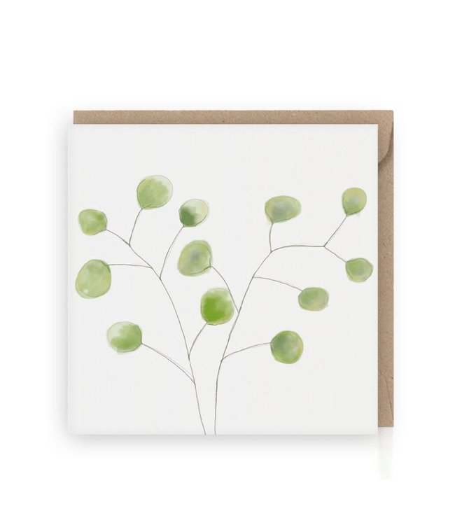 GRAFIQUELIEN •• Wenskaart groene eucalyptus