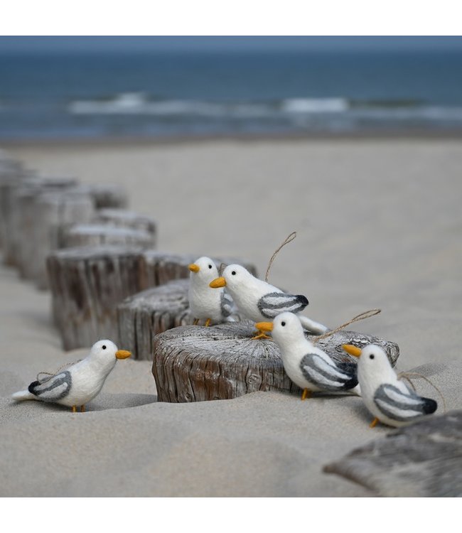SJAAL MET VERHAAL  •• Meeuw Vilt
