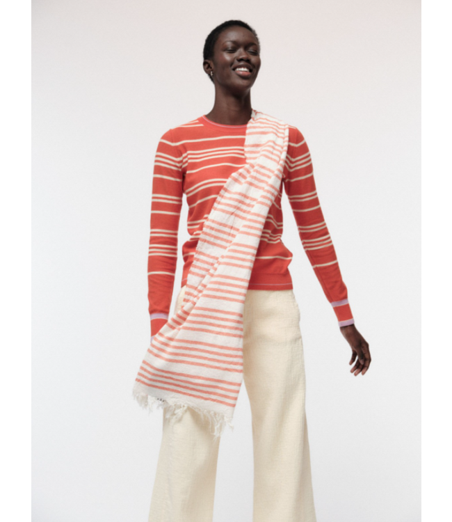 LANIUS •• GESTREEPTE SJAAL