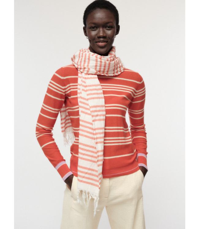 LANIUS •• GESTREEPTE SJAAL