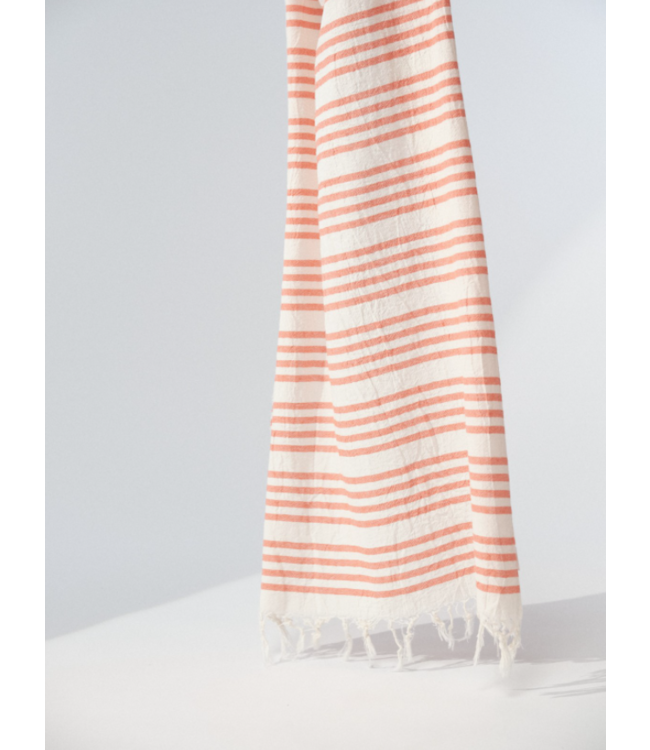 LANIUS •• GESTREEPTE SJAAL