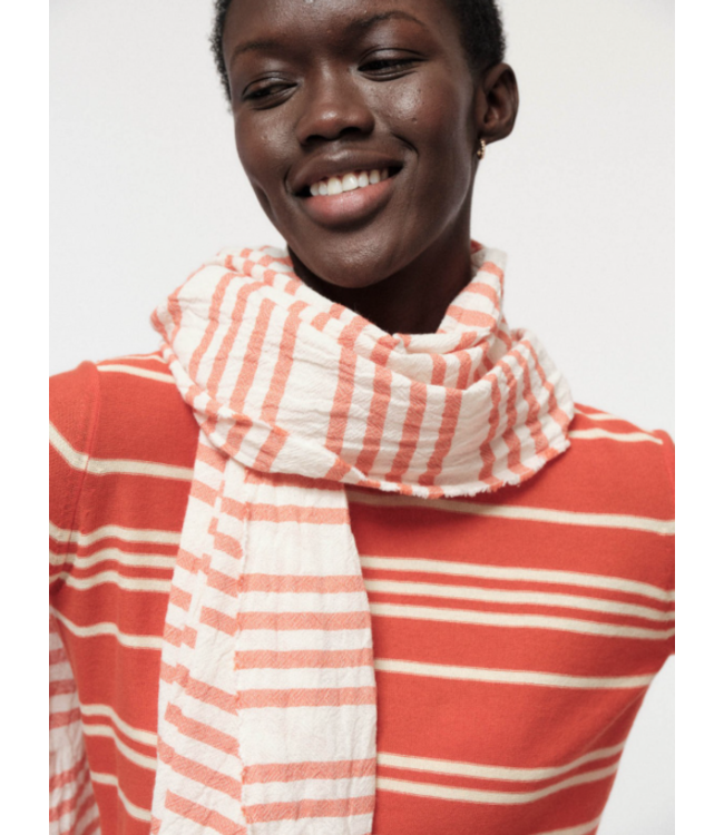 LANIUS •• GESTREEPTE SJAAL