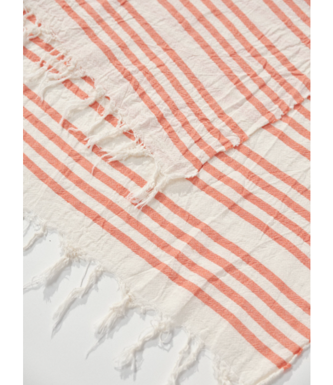 LANIUS •• GESTREEPTE SJAAL