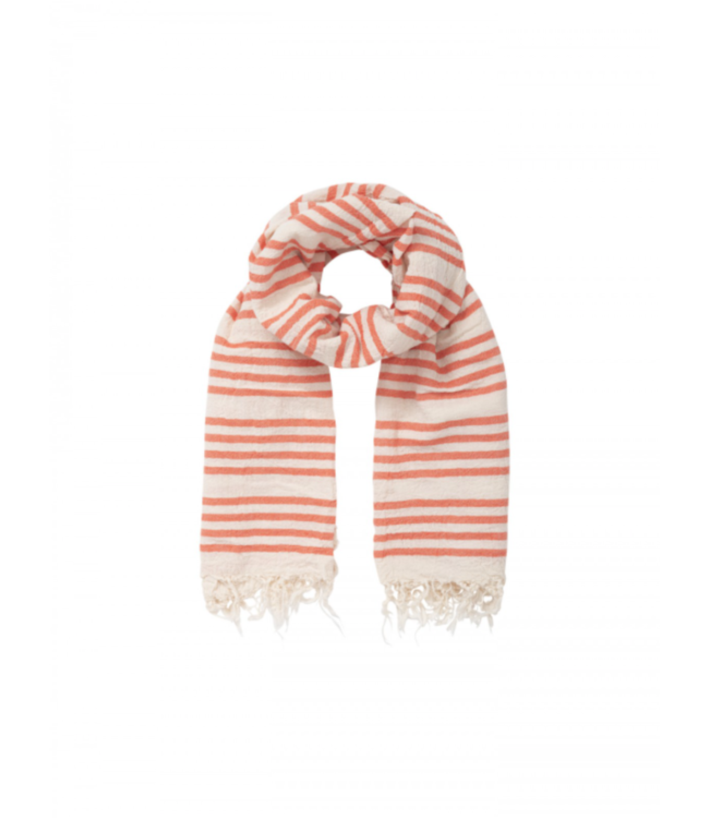 LANIUS •• GESTREEPTE SJAAL